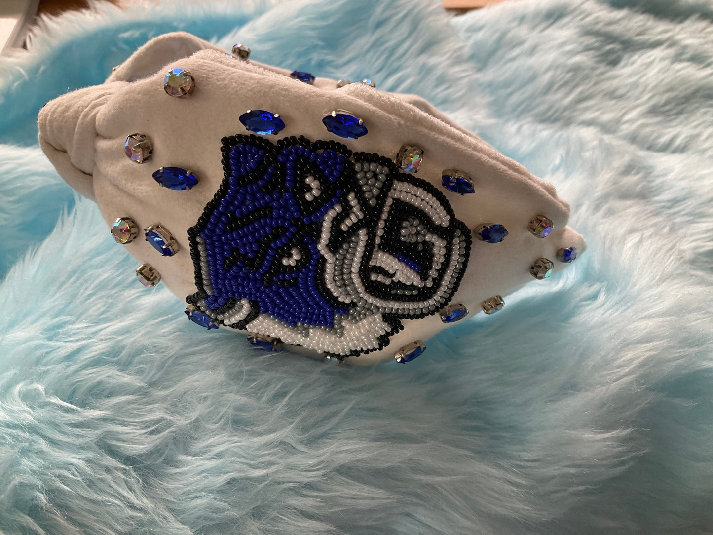 Edinburg Sabercats headband