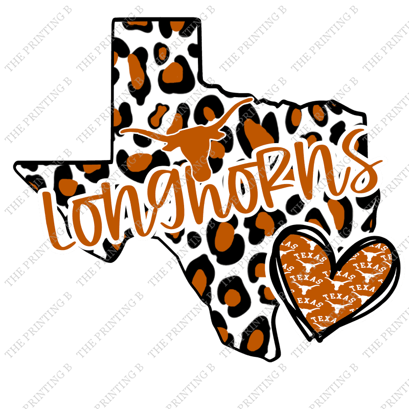 College Longhorn