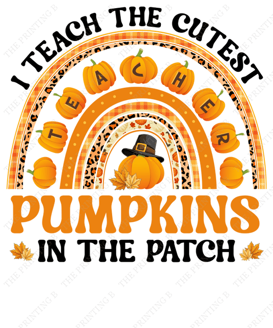 I Teach The Cutest Pumpkin In Patch